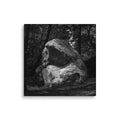 Bleau Archive 1 Dame de Mai 7A canvas featuring the iconic Fontainebleau boulder climb