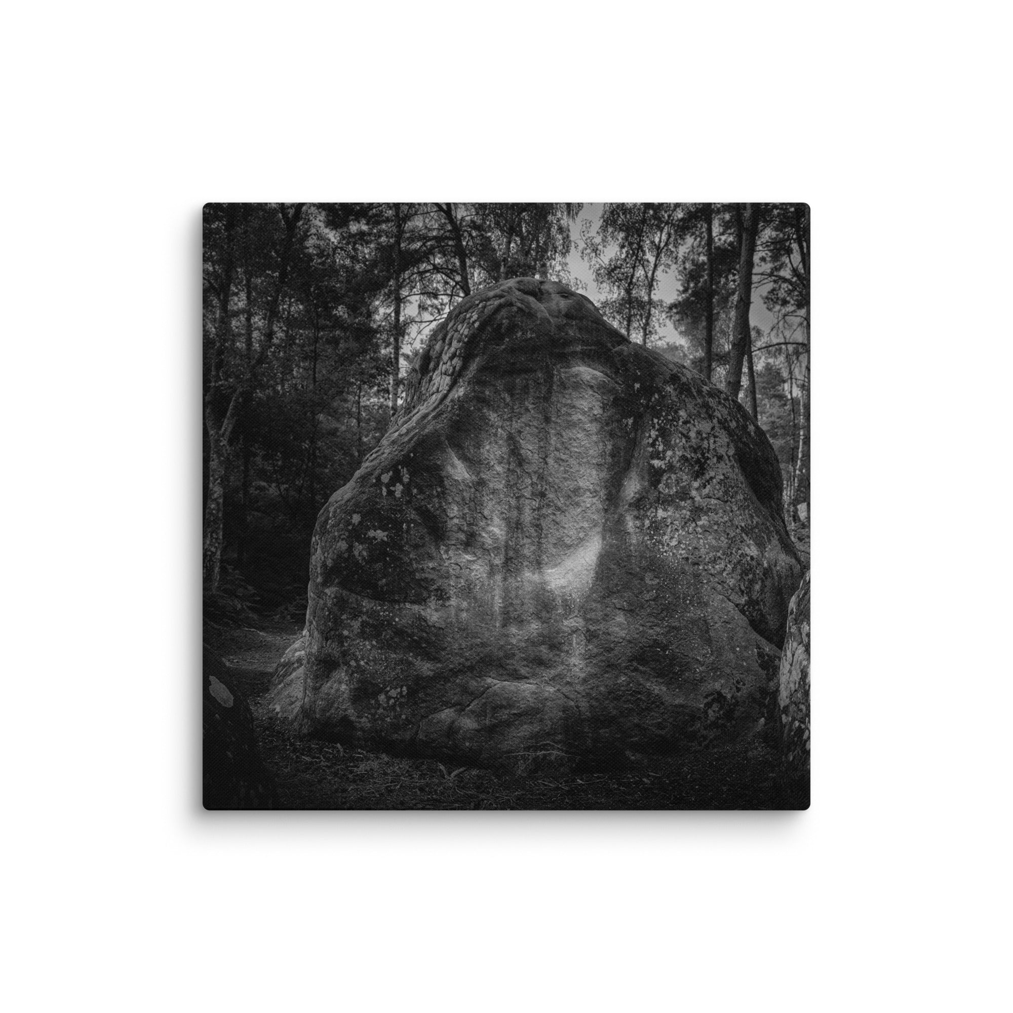 Bleau Archive 15 attrape-mouche 5 canvas featuring the iconic Fontainebleau boulder climb