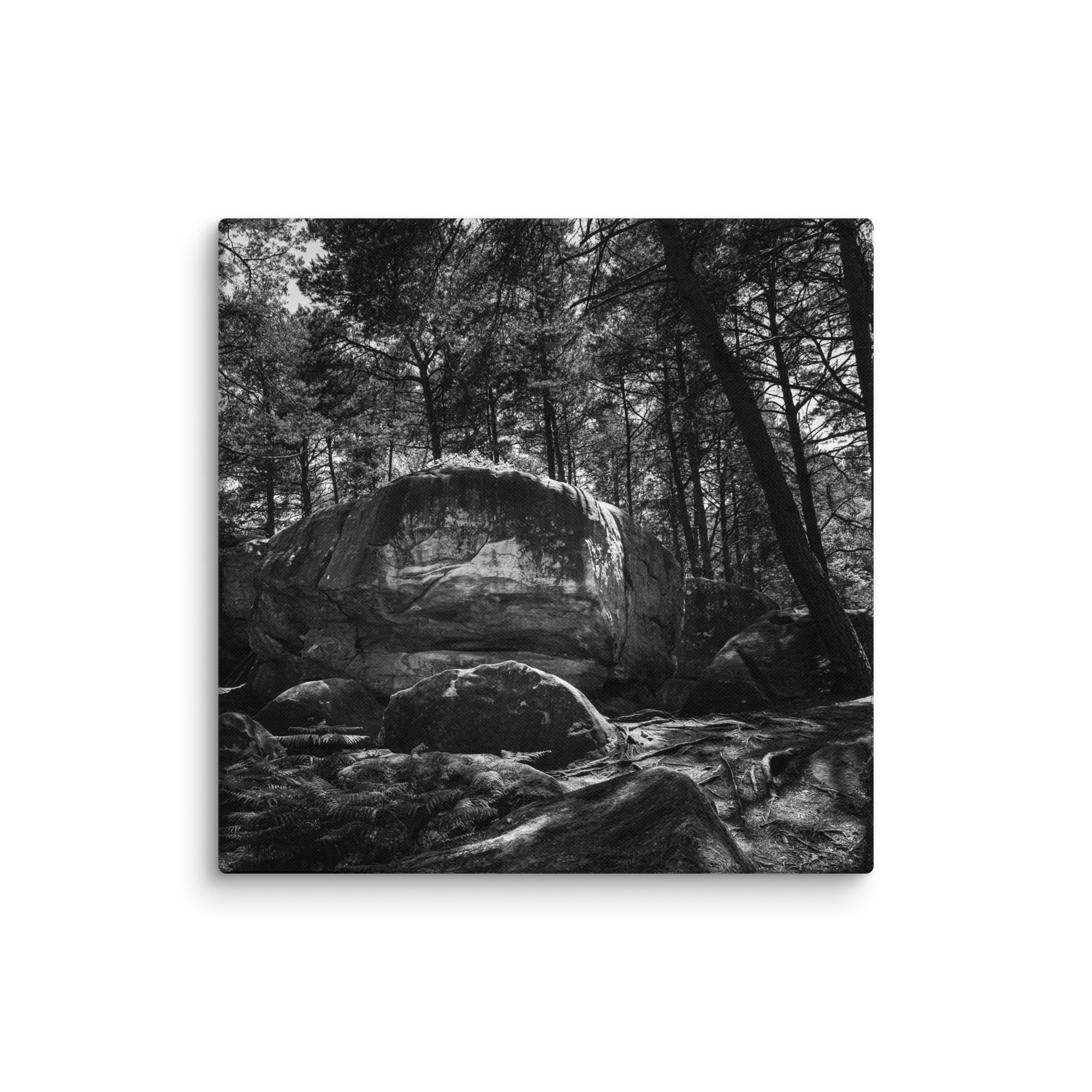 Bleau Archive 17 le surplomb feuilleté 6C+ canvas featuring the iconic Fontainebleau boulder climb